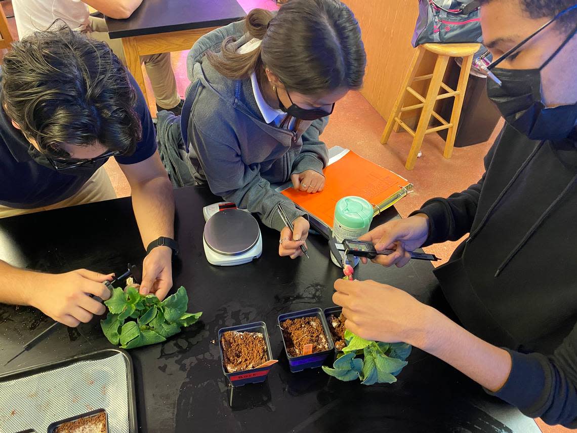 A group of students oversee the crops grown for the Growing Beyond Earth program. They record how much water they add, their height, how many seeds germinate and other details.