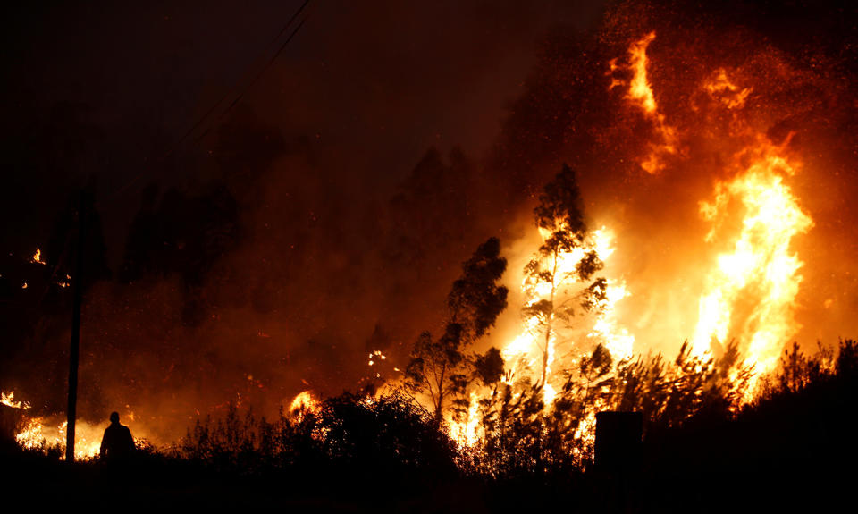 <p>A firefighter looks for a forest fire next to the village of Macao, near Castelo Branco, Portugal, July 26, 2017. (Rafael Marchante/Reuters) </p>