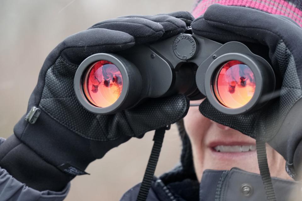 Sturdy binoculars with a wide field of vision are an invaluable tool for bird-watching.