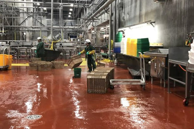 Adult workers inside a slaughterhouse where Department of Labor investigators found children cleaning equipment (Dept. of Labor)