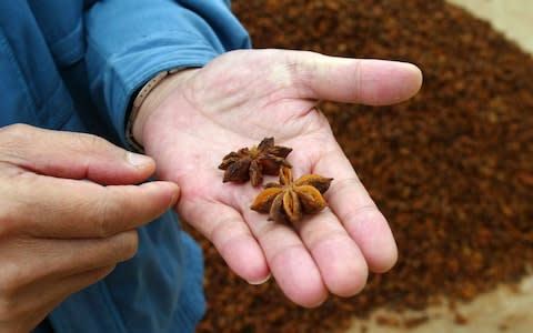 Star anise  - Credit: Reuters 