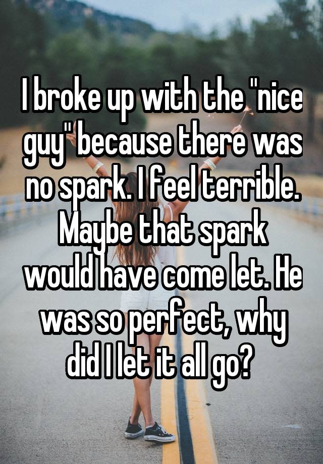 I broke up with the "nice guy" because there was no spark. I feel terrible. Maybe that spark would have come let. He was so perfect, why did I let it all go?