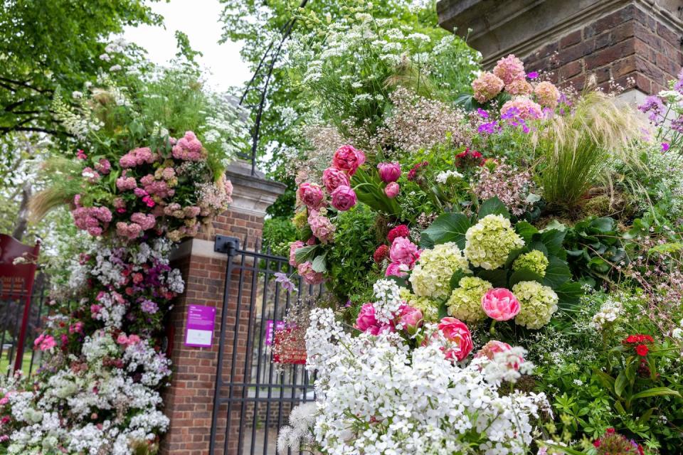 lucy vail floristry another blooming heatwave installation rhs chelsea flower show 2023