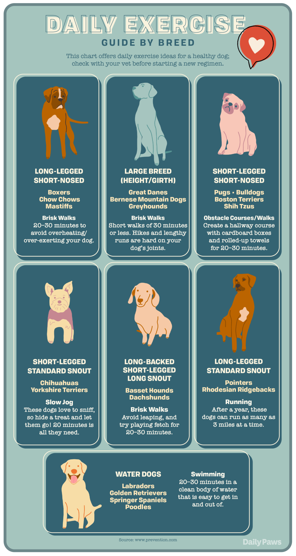 pet exercise chart