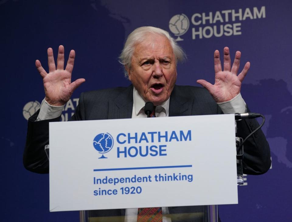 Sir David Attenborough speaking on stage, before being presented with a Chatham House Centenary Lifetime Award (Yui Mok/PA) (PA Wire)