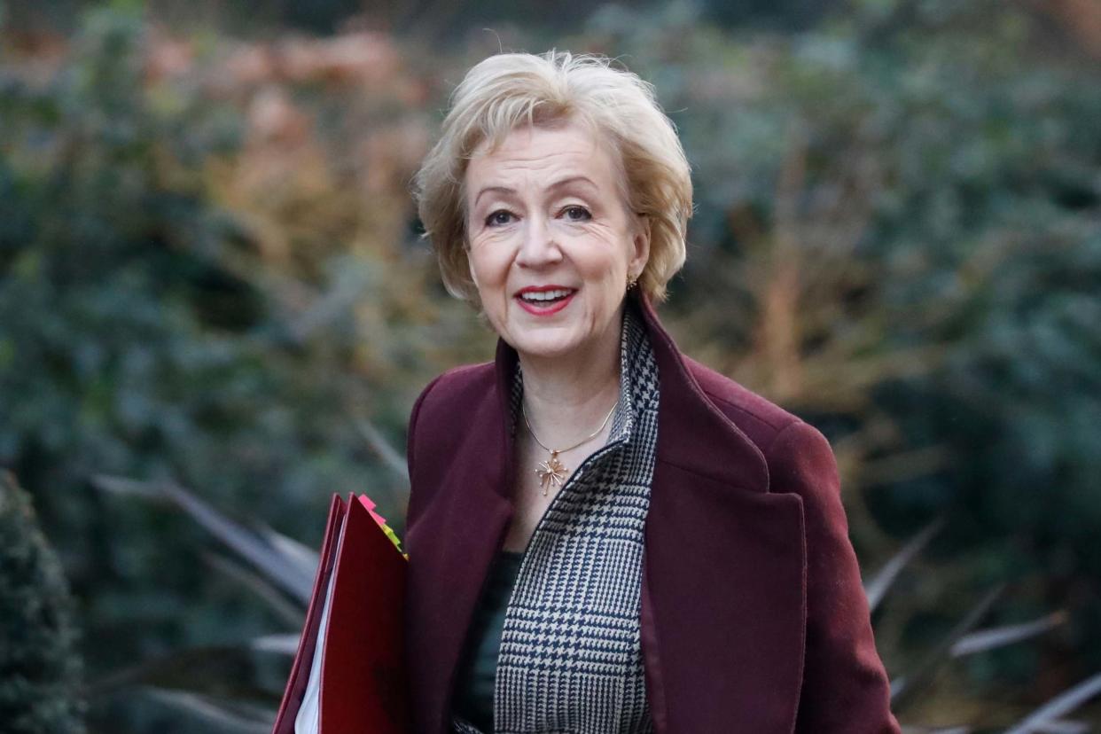 Disagreements: Business Secretary Andrea Leadsom said the UK would go ahead with the digital tax: AFP via Getty Images