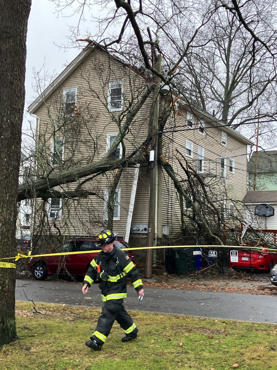 A tree on Seabury Street broke off due to heavy winds Monday morning, crashing into a telephone pole with a transformer, which crashed into a house at 238 Seabury.