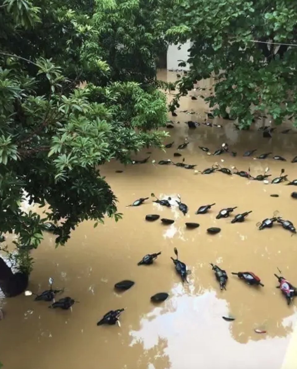 Flooded street with numerous motorcycles submerged in water, only tops visible among trees