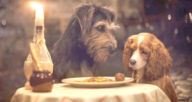 Lady and the Tramp: Where to Watch & Stream Online