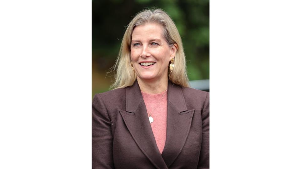 Sophie, Duchess Of Edinburgh smiling in brown blazer