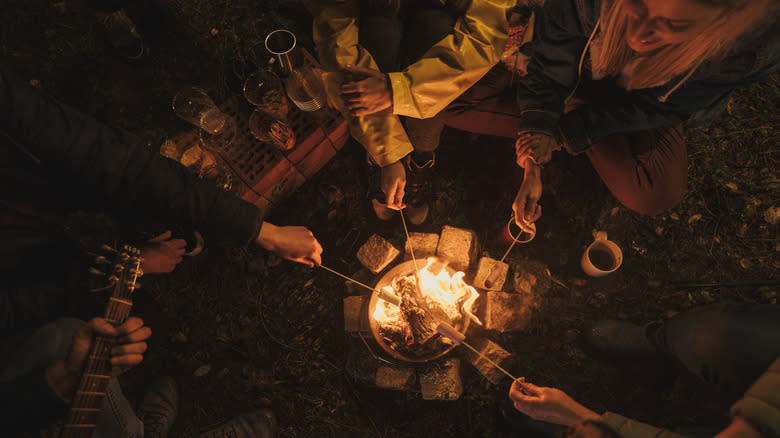 group of friends around fire