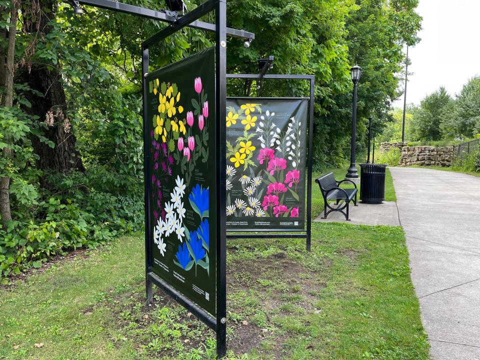 Hazelmade owner Susan Hazel Rich's illustrations of native flora can be found on the Portage Hike and Bike Trail as part of a new public art installation placed by Main Street Kent.