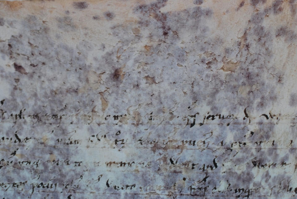 This goatskin scroll from A.D. 1244 is covered in mysterious purple spots. <cite>G. Vendittozzi</cite>