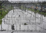 Mumbai: Waterlogged railway tracks between Kurla and Sion railway station, after heavy monsoon rain, in Mumbai, Wednesday, Sept. 23, 2020. (PTI Photo/Kunal Patil)(PTI23-09-2020_000072B)