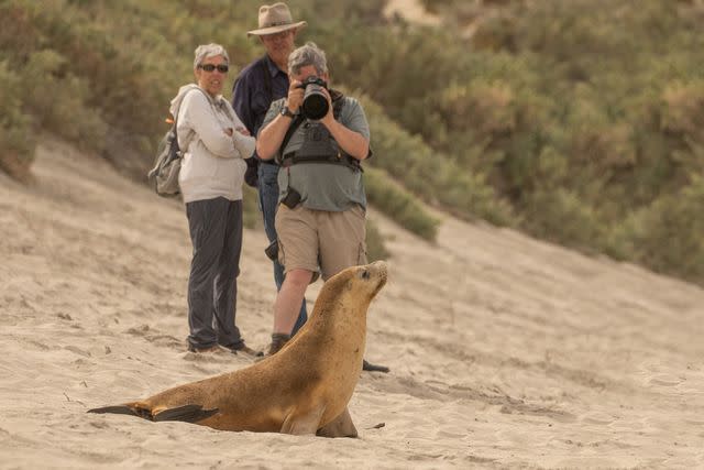 <p>Matt Meyer/Courtesy of Natural Habitat Adventures</p>