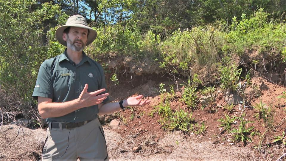 Archeologists are discovering a lot about Mi'kmaq history on Pituamkek, says Jesse Francis of Parks Canada. (Julien Lecacheur/Radio-Canada)