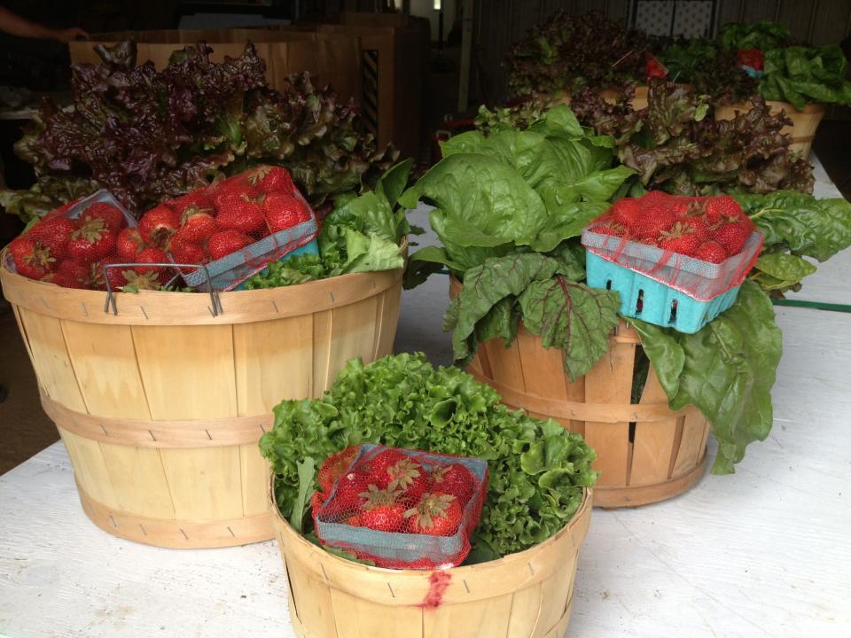 Various CSA options from Von Thun Farms.