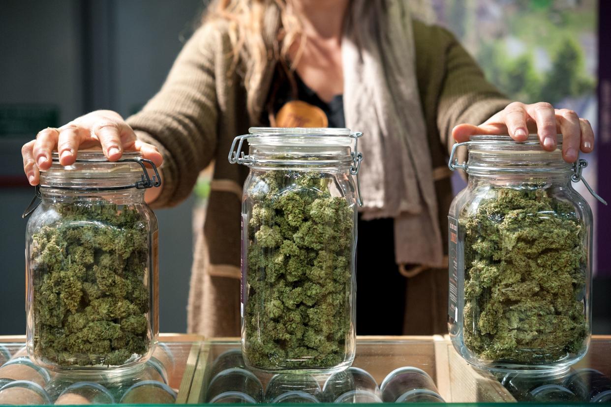 glass jar full of Cannabis Sativa for sale at a market stall