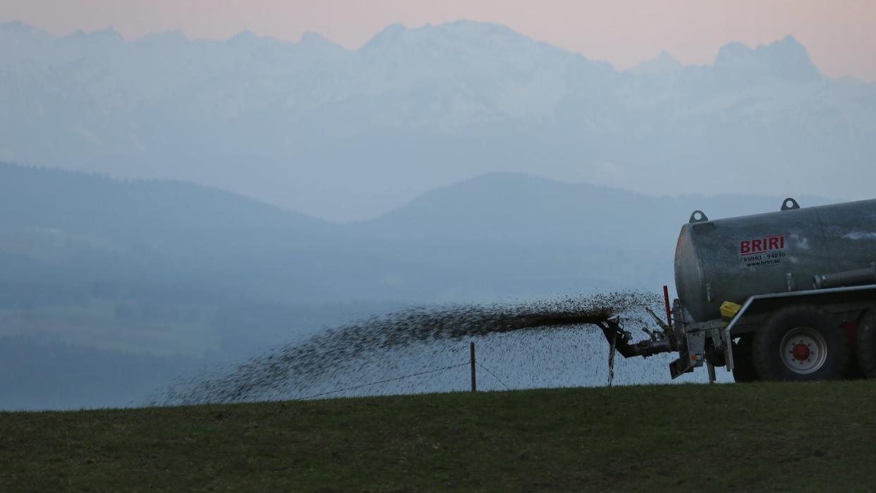 Ein Landwirt düngt auf dem 1055 Meter hohen Auerberg vor dem Panorama der Alpen eine Wiese mit Gülle. Foto: Karl-Josef Hildenbrand