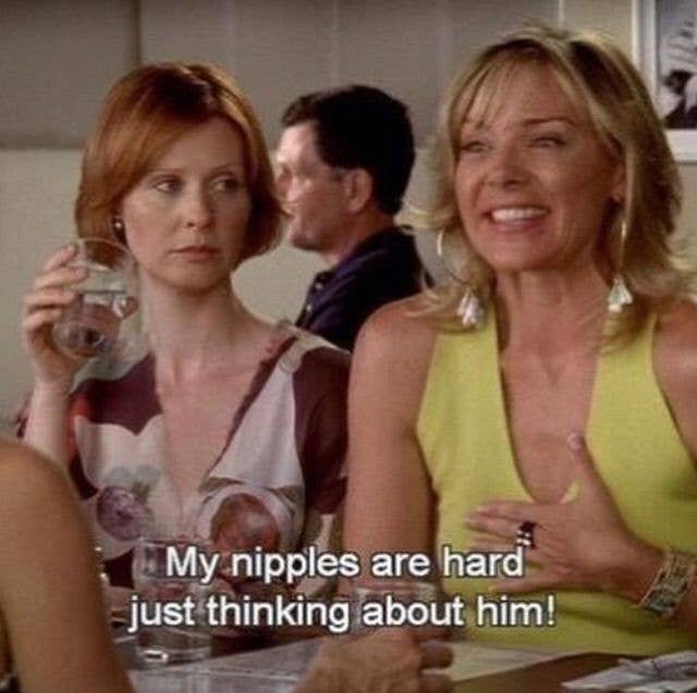 Kim Cattrall on "Sex and the City" saying my nipples are hard just thinking about him