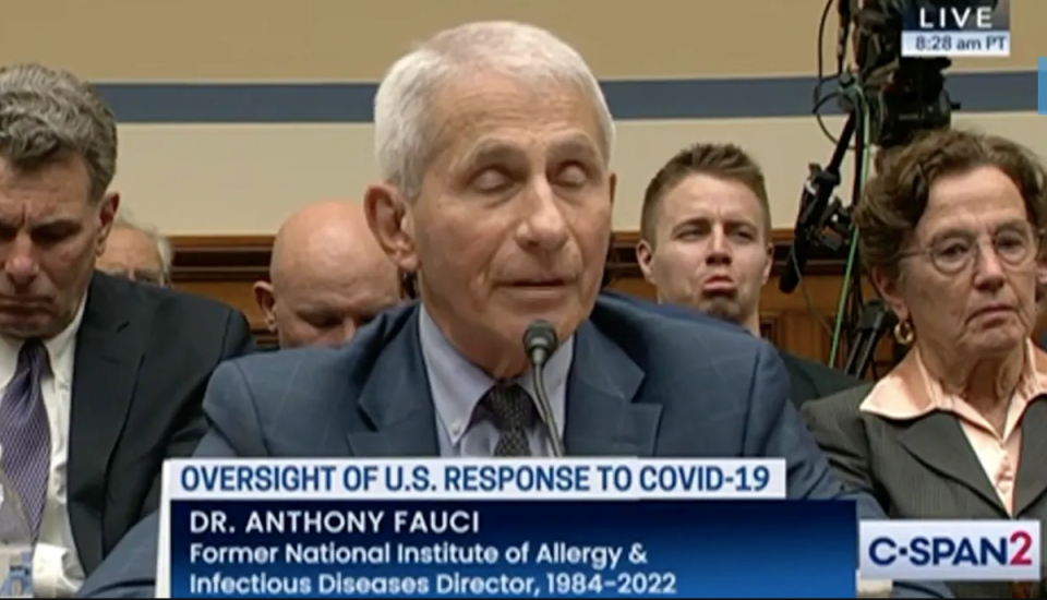 A man was seen making faces behind Fauci during Monday’s Covid hearing (C-SPAN)