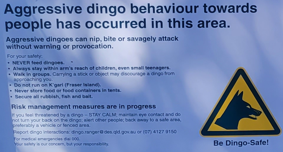 A close up of the dingo sign.