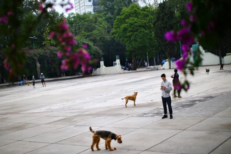 Outbreak of the coronavirus disease (COVID-19), in Mexico City