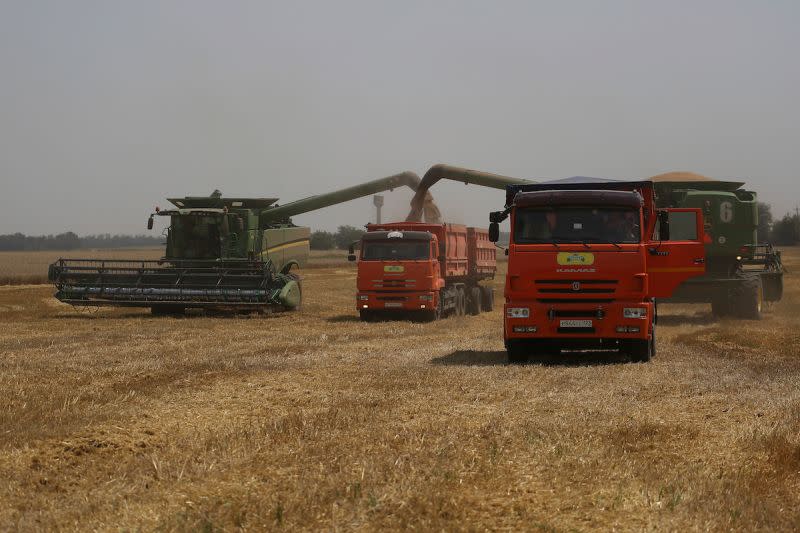 ▲俄羅斯與烏克蘭是全球小麥生產大國，也是主要製造化肥的國家。（圖／美聯社／達志影像）