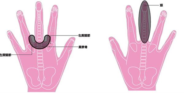 （圖片來源／《揉揉手指的驚人自癒力》一書）