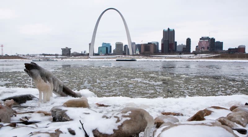 FILE PHOTO: The Gateway Arch is seen across from snow covered banks of the Mississippi River during cold weather in St Louis