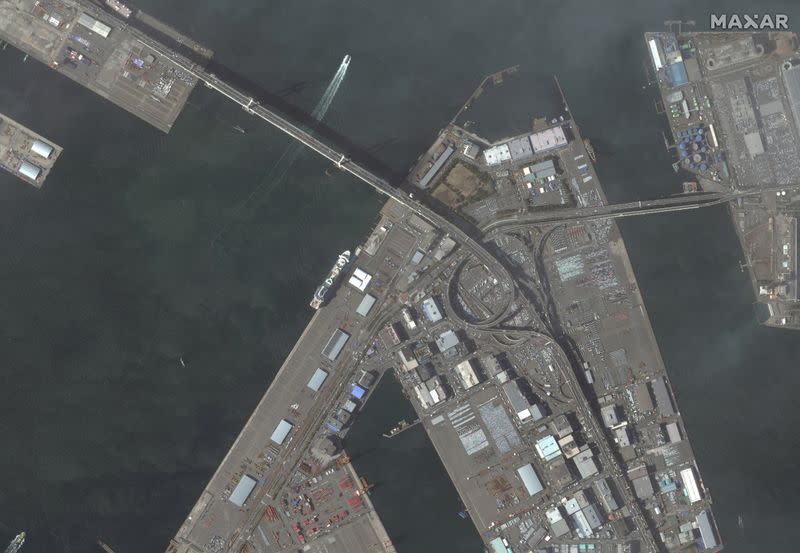 An aerial view shows cruise ship Diamond Princess, some of whose passengers tested positive for coronavirus, in port Yokohama