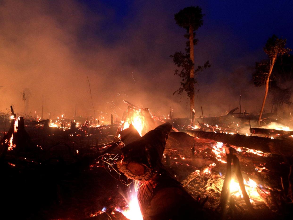 A fire burns a tract of Amazon jungle as it is cleared by a farmer: Reuters