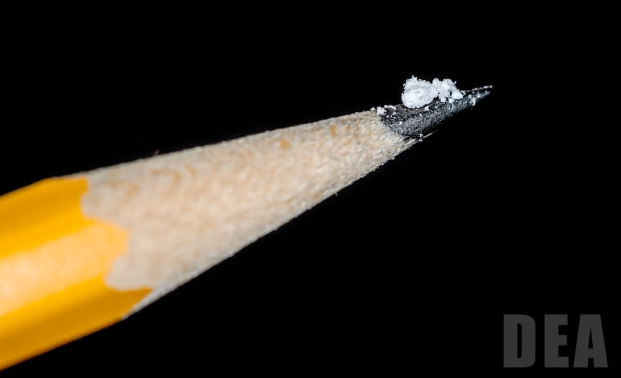 Just 2mg of fentanyl, the amount on the tip of this pencil, can be enough to kill an average adult, according to the DEA. (Image courtesy DEA)