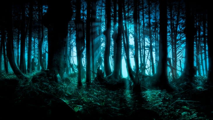 <span class="article__caption">Mossy, verdant PNW forests may lead you to driftwood, a sandspit, open water, and to a lighthouse.</span> (Photo: Bill Hinton/Getty)