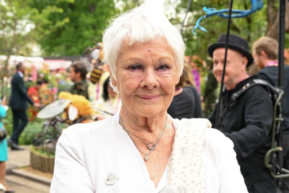 <p>Jeff Spicer/Getty</p> Dame Judy Dench, May 2023