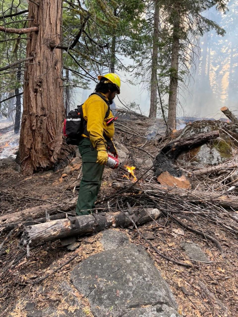 A fire technician with the Sierra-Sequoia Burn Cooperative ignites a forest debris pile in October 2023 on private property near Dinkey Creek east of Fresno, California. The group is a partnership between four Native American Tribes, the Sierra Foothill Conservancy, UC Cooperative Extension, several private landowners, fire practitioners, and local researchers.