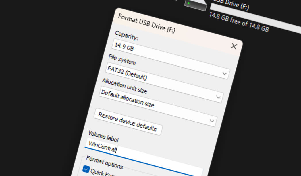  Format drive dialog in Windows 11. 