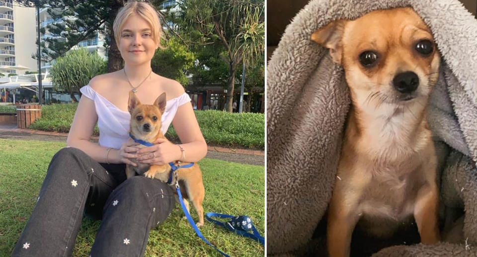 Melissa's daughter with Gigi (left) and Gigi hiding under a blanket. Source: Supplied