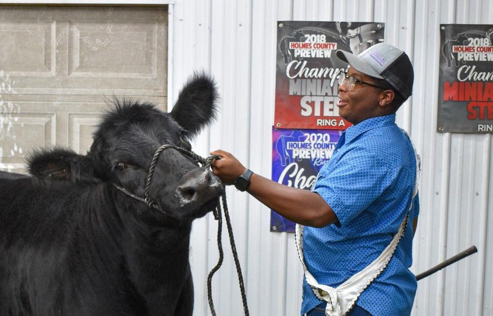 Jamarion Glover talks to Rhoda, a crossbred breeding heifer, as he guides her into a show pose at the Fremont barn where Glover boards her. Glover has been prepping Rhoda for the Sandusky County Fair since she was young.