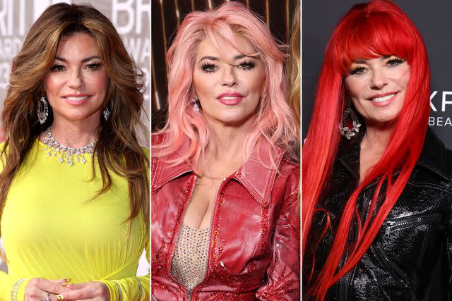 JMEnternational/Getty Images; Mark Von Holden/E! Entertainment/NBC via Getty Images; Rodin Eckenroth/Getty Images Shania Twain hair colors