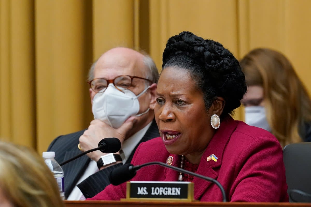 Rep Sheila Jackson Lee speaks in support of Democratic gun control measures in Washington DC on June 2 2022. The congress member has been diagnosed with cancer  (Copyright 2020 The Associated Press. All rights reserved)