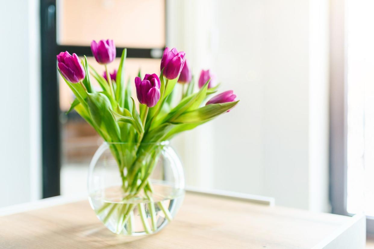 beautiful pink tulips in a vase home interior photo stock photo
