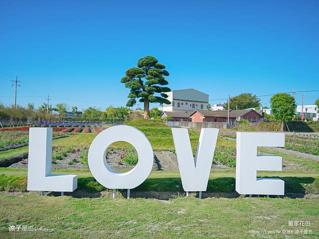 彰化田尾｜董家花田