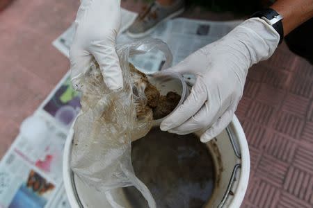 A woman puts feces in a bucket to prepare "Poopootovs", which is a play on Molotov cocktails, before they are thrown at security forces during protests, in addition to the usual rocks and petrol bombs, in Caracas, Venezuela May 9, 2017. REUTERS/Christian Veron