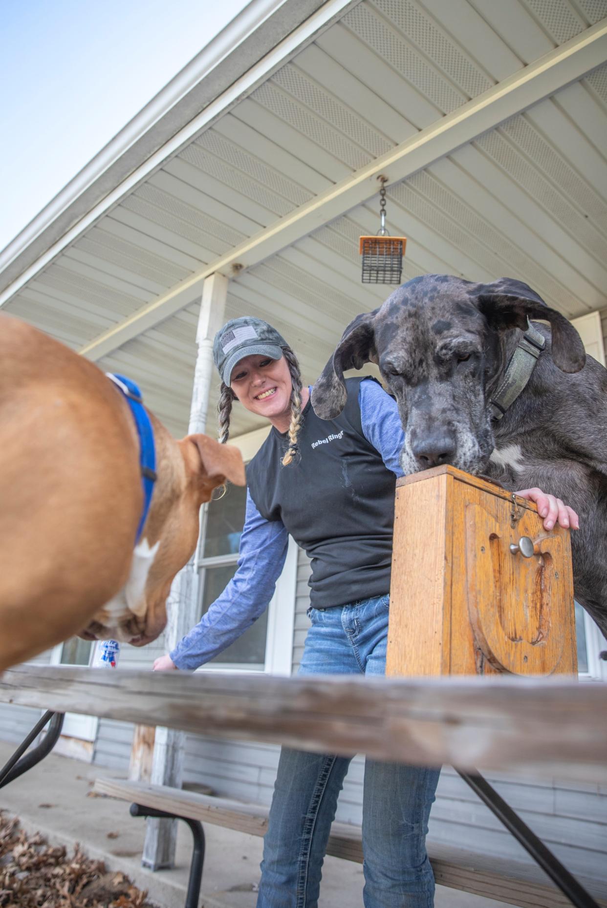 Paula Schwerdtfeger, 47, attempts to reclaim her special horseshoe throwing box from her Great Dane Arlo at her home in Waupaca, Wisconsin on Tuesday, April 9, 2024. Says he’s obsessed with them, to the point she has to keep all three dogs in the house when she is practicing at her pit in her backyard. Gabi Broekema/USA TODAY NETWORK- Wisconsin