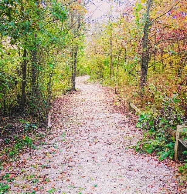 One of the trails at Patoka River Wildlife Refuge.