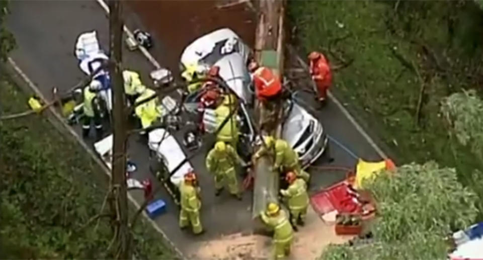 A woman is dead and a child is in a critical condition after a tree fell on a car in Victoria's Yarra Ranges.