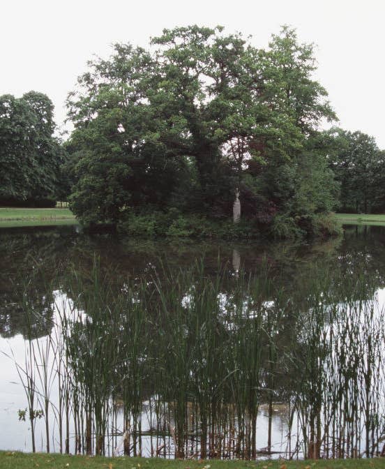 Princess Diana's gravesite