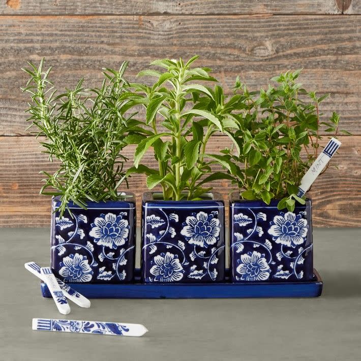 12) Williams Sonoma Blue & White Herb Starter Set