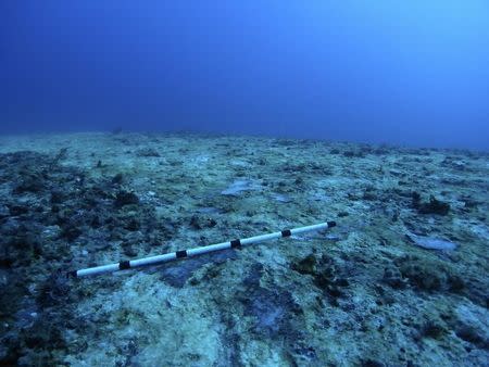 A general view shows the damage caused by the Chinese 230m-long bulk coal carrier Shen Neng 1, about 70 km (43 miles) east of Great Keppel Island April 12, 2010. REUTERS/Great Barrier Reef Marine Park Authority/Handout